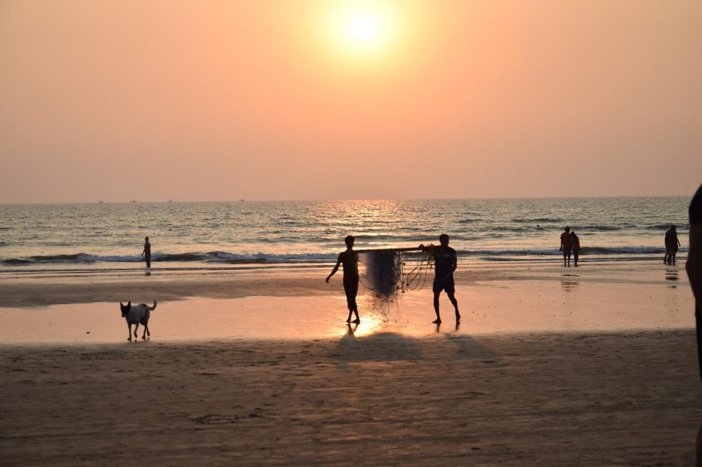 india, goa, arabian sea-4358270.jpg